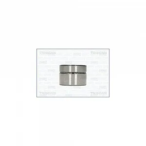 Штовхач клапана TRISCAN 80-10002 для FIAT, випускний, впускний - Фото 1