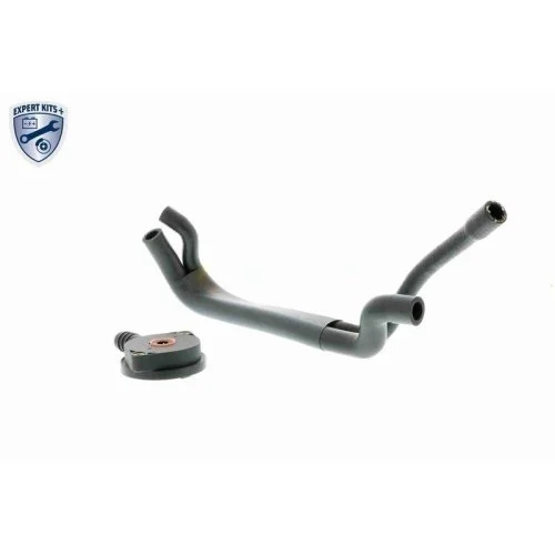 Ремкомплект, вентиляция картера VAICO V20-1920 EXPERT KITS + для BMW FORD, фото №3