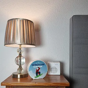 Скарбничка "Зимова відпустка" зі сноубордистом керамічна synthetic.ua - Фото 1