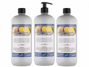 Гель для душу та шампунь Body & Hair Fresh Ginger 2 в 1 набір з 3 шт. з помпою 1 л - Фото 1