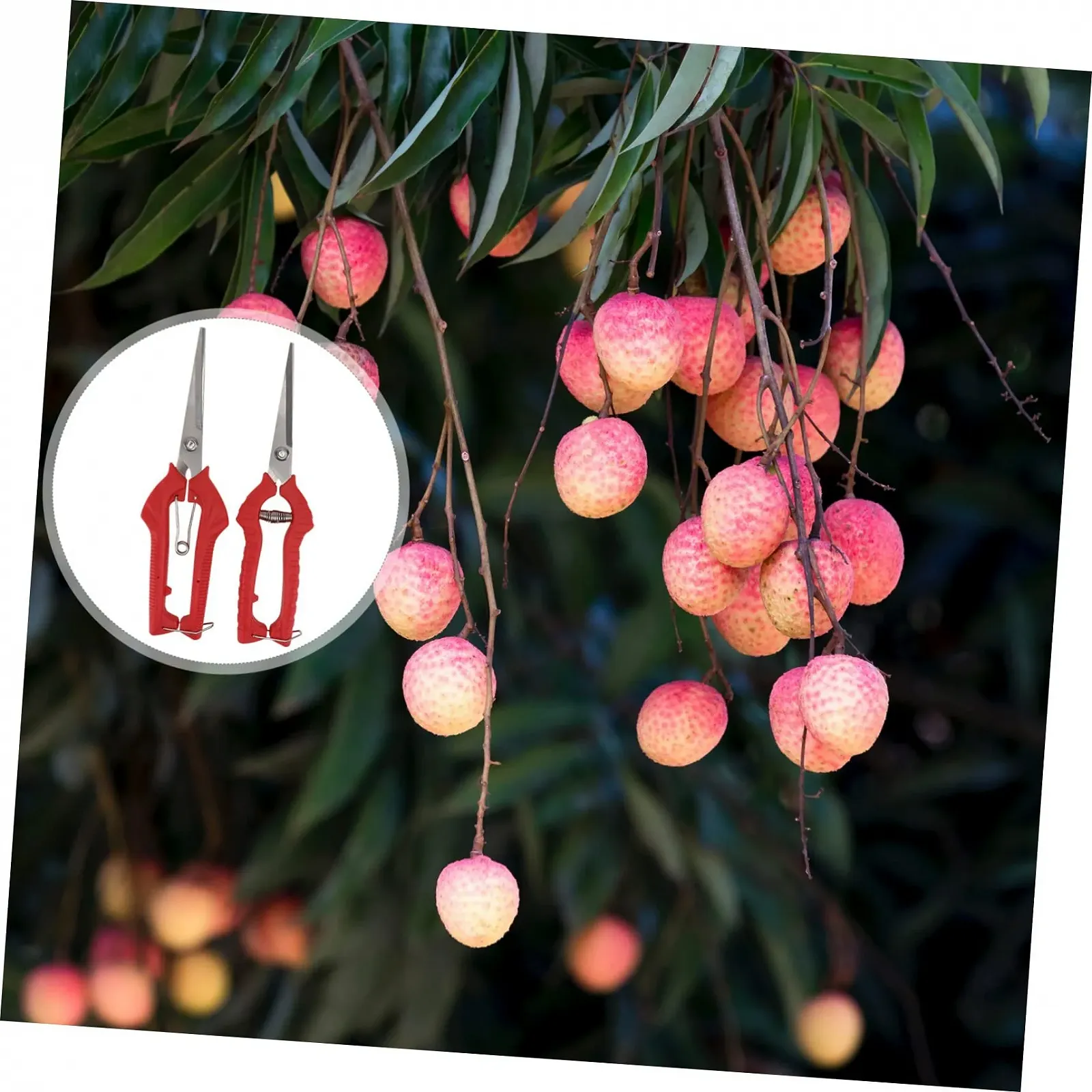 Набір секаторів Happyyami PP Червоний 2 шт, фото №9