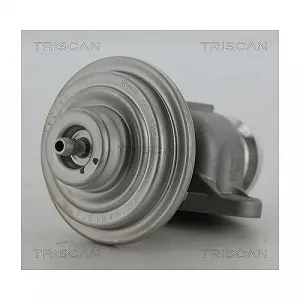 Клапан EGR TRISCAN 8813 23201 для MERCEDES-BENZ synthetic.ua - Фото 1