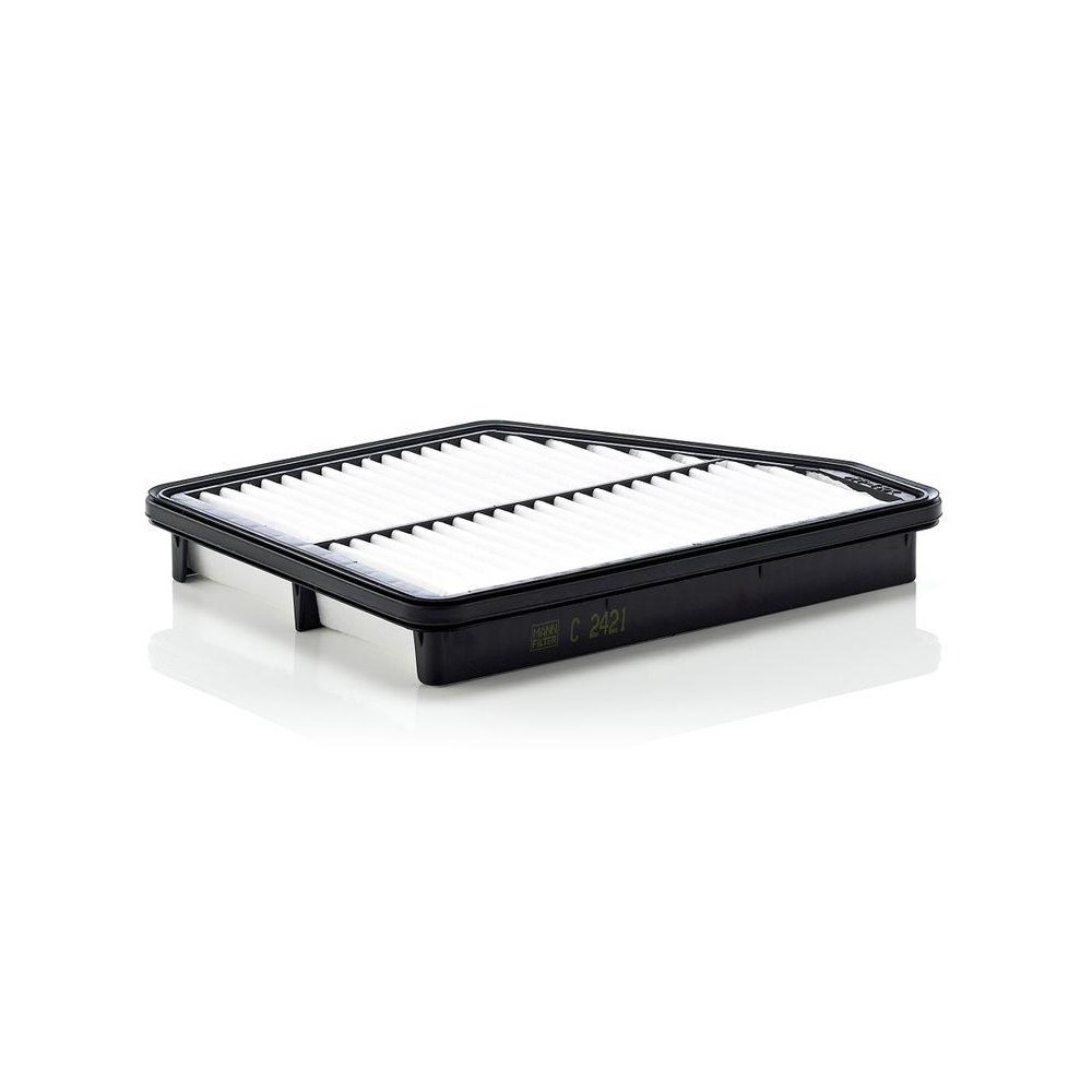 Воздушный фильтр MANN-FILTER C 2421 для HYUNDAI, фото №1