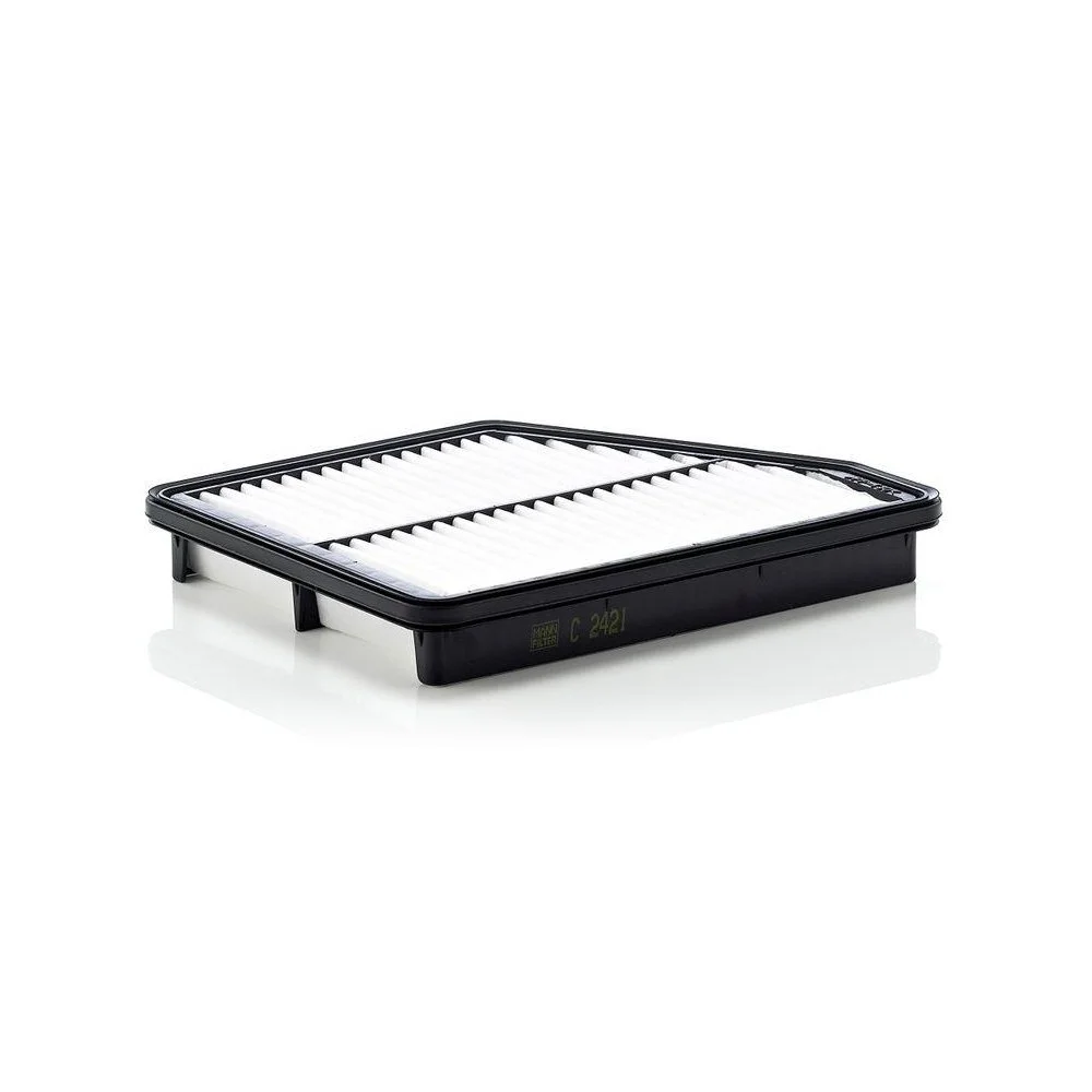 Воздушный фильтр MANN-FILTER C 2421 для HYUNDAI, фото №1