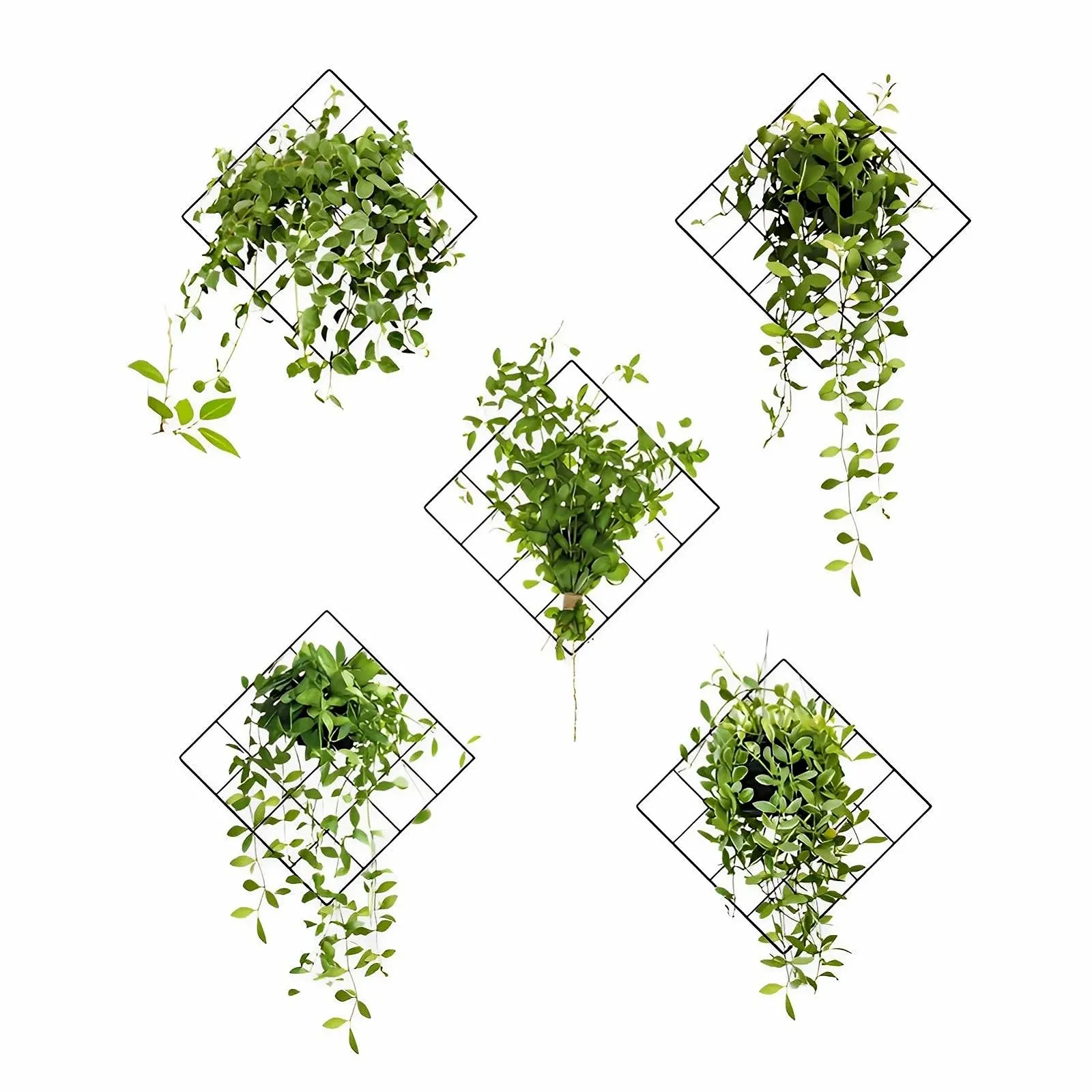 Наклейки на стену 3D Зеленые растения Тропические листья Плющ, фото №1