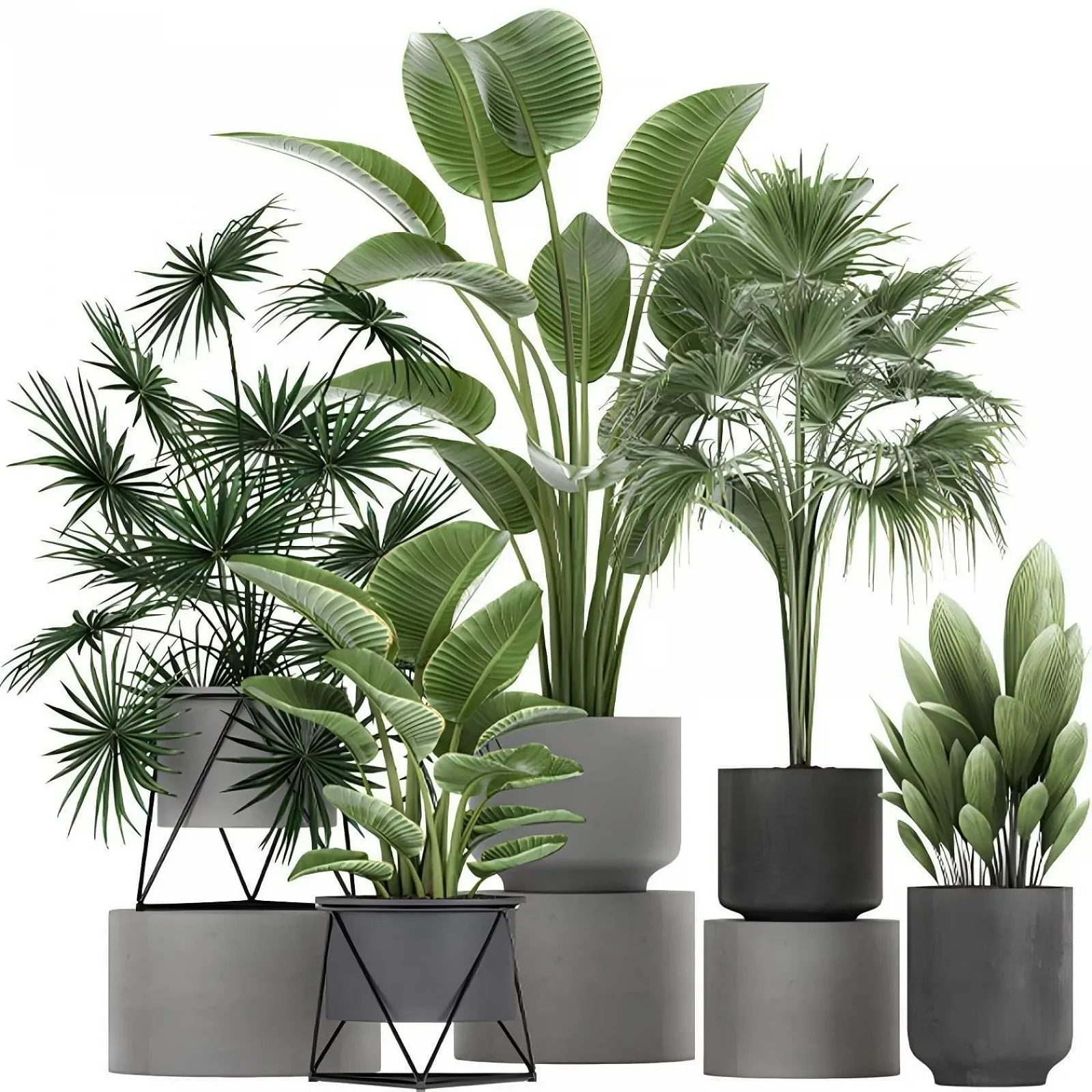 Наклейка на стіну 3D Bonsai Tropical Plant вінілова знімна декоративна, фото №1