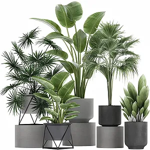 Наклейка на стіну 3D Bonsai Tropical Plant вінілова знімна декоративна - Фото 1