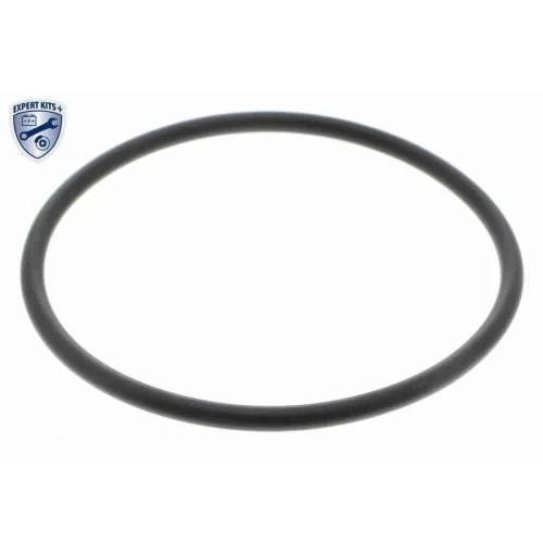 Гидравлический фильтр АКПП VAICO V10-4722 EXPERT KITS + для AUDI SEAT VW, фото №2