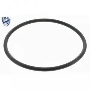 Гидравлический фильтр АКПП VAICO V10-4722 EXPERT KITS + для AUDI SEAT VW synthetic.ua - Фото 1