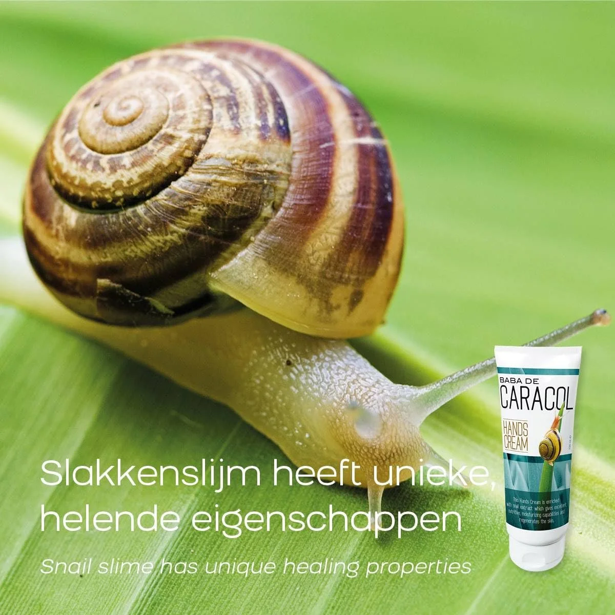 Крем для рук Orange Care Baba de Caracol, 100 мл, фото №2