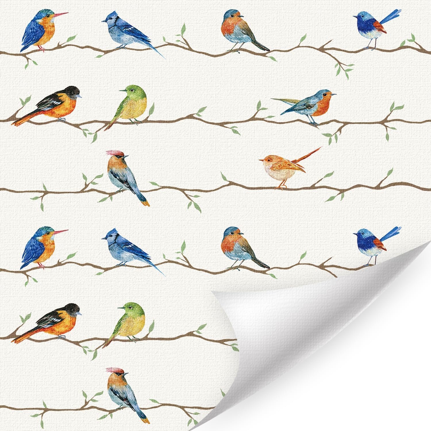 Шпалери наклейка Birds 44 x 300 см самоклеючі Hummingbird Colourful, фото №1 Шпалери наклейка Birds 44 x 300 см самоклеючі Hummingbird Colourful, фото №1