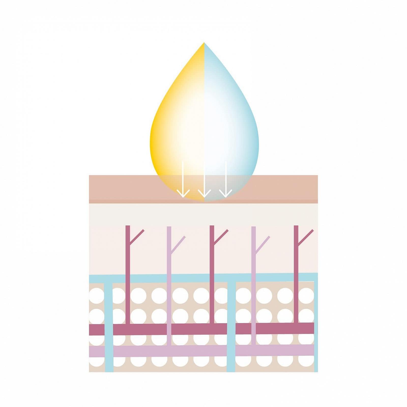 Крем-гель для душу Basic Floral Fruity з конопляною олією та олією камелії 500 мл, фото №3