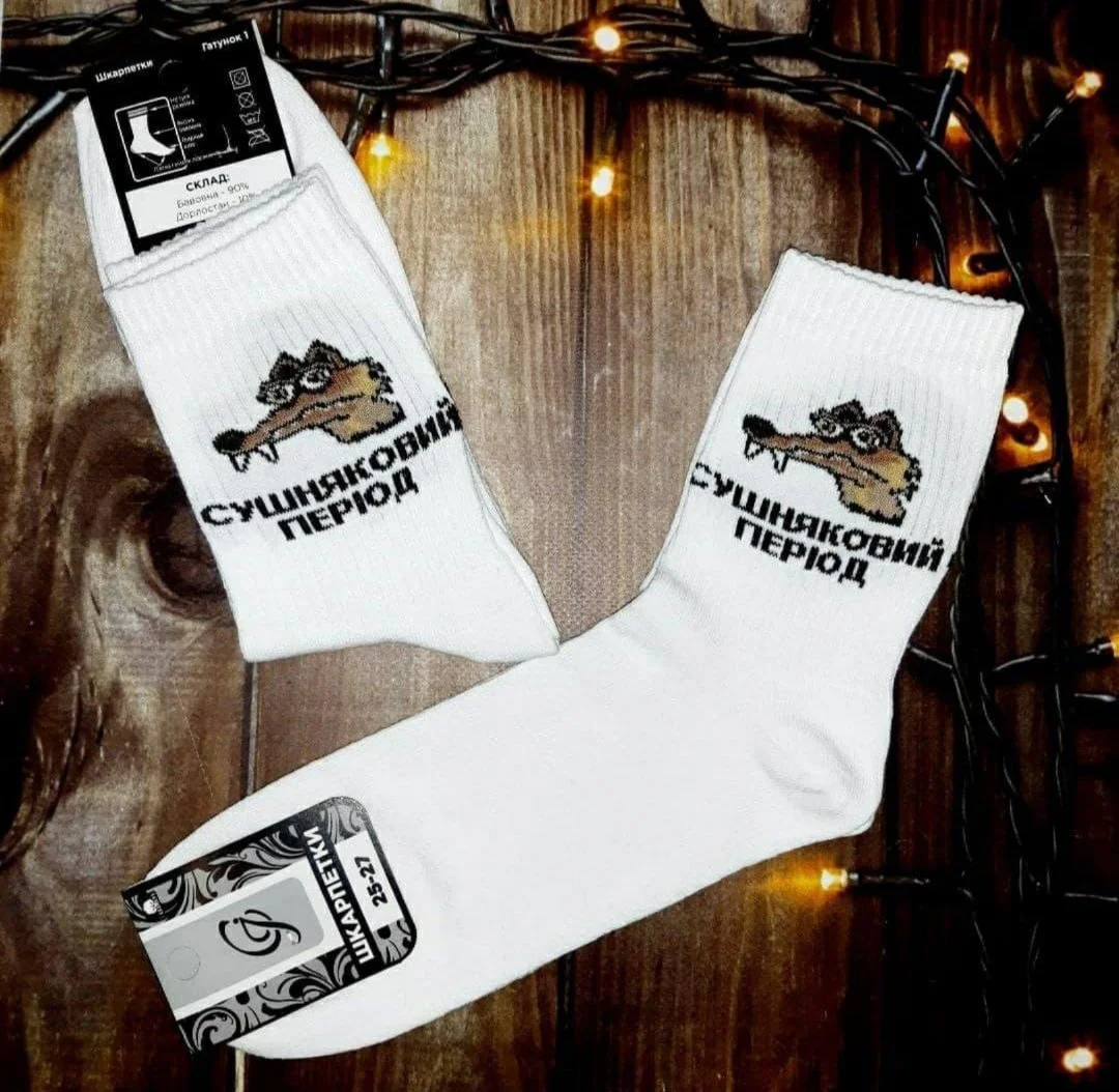 Чоловічі молодіжні шкарпетки високі демісезонні білі 39 - 44 розмір, фото №1