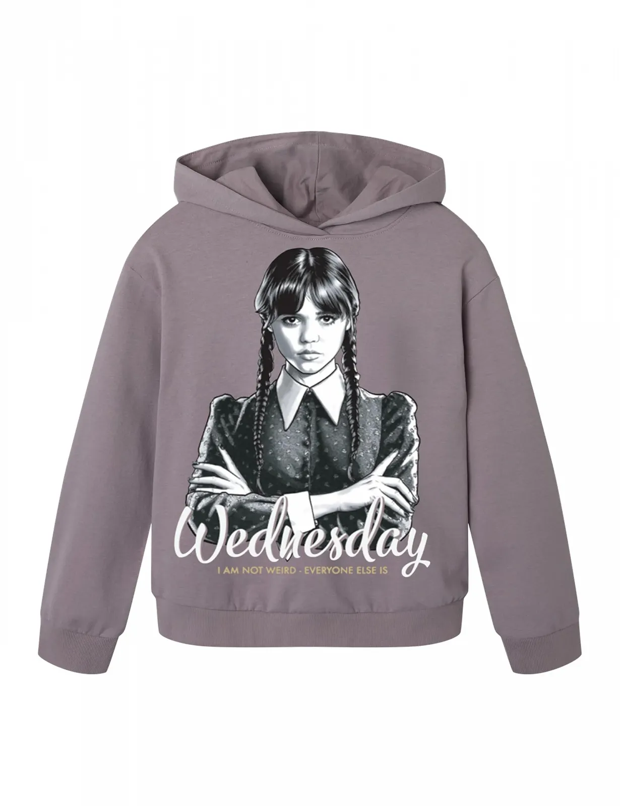 Толстовка NAME IT Nkfjixinni Wed RLX Sweat Wh Bru Noos Sky, фото №1