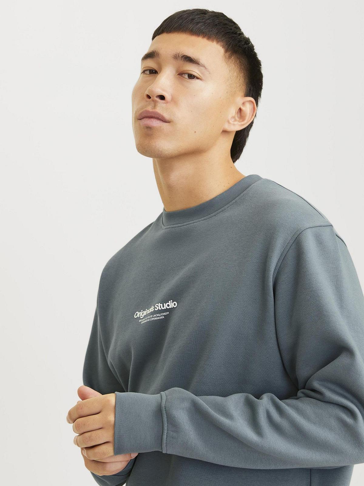 Світшот JACK & JONES Jorvesterbro Crew Neck Noos Чоловічий, фото №8