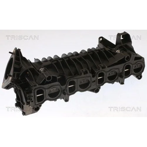 Впускний колектор TRISCAN 8910 11101 для BMW, фото №2