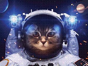 Пазли 1000 елементів для всієї родини з екологічних матеріалів ціна на synthetic.ua - Фото 1 Пазли 1000 елементів для всієї родини з екологічних матеріалів synthetic.ua - Фото 1