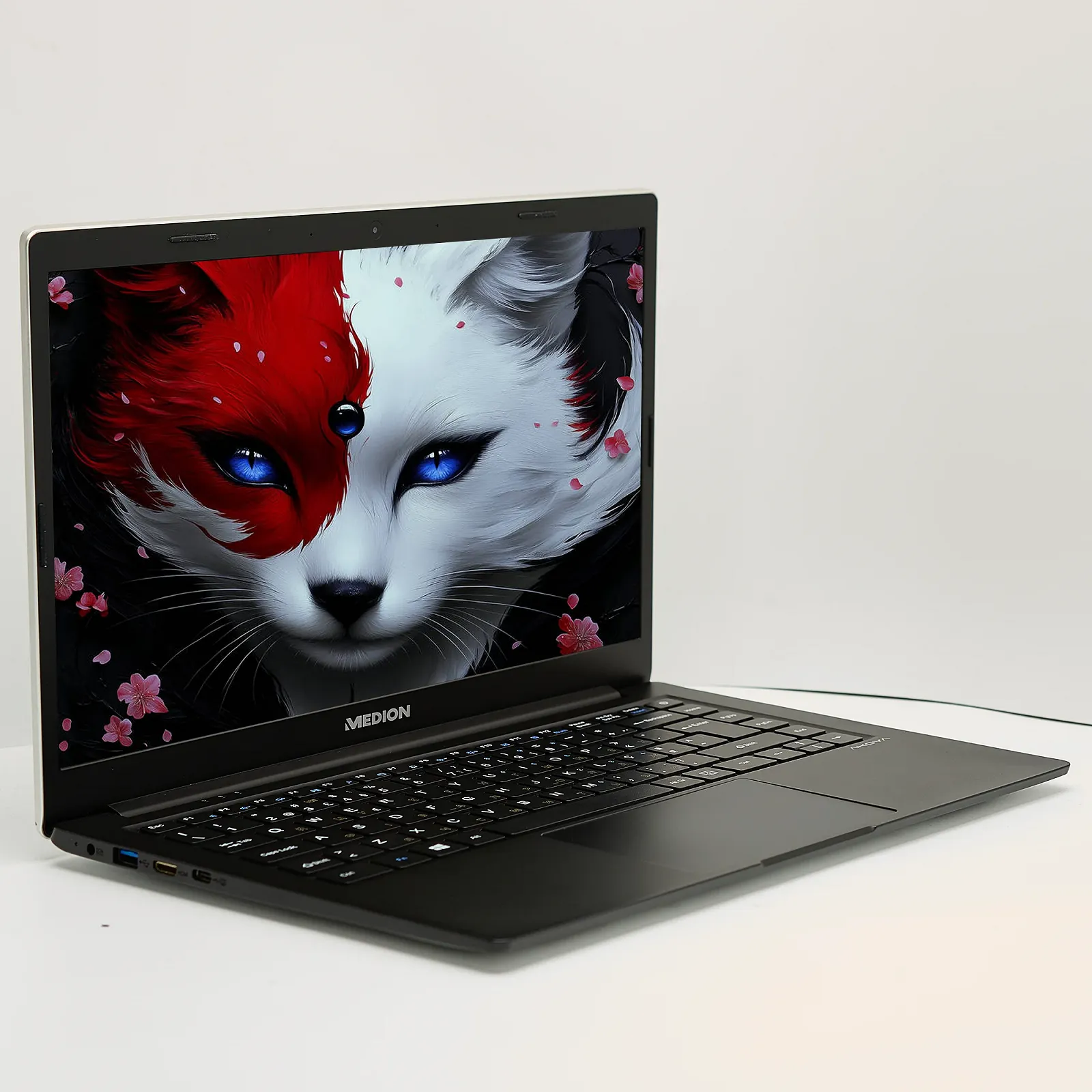 Ультрабук 14" Medion (Lenovo Group) Akoya E4251 Intel RAM 4ГБ SSD 512 ГБ Intel Graphics Метал IPS FullHD Win10 (4828), фото №4 Ультрабук 14" Medion (Lenovo Group) Akoya E4251 Intel RAM 4ГБ SSD 512 ГБ Intel Graphics Метал IPS FullHD Win10 (4828), фото №4