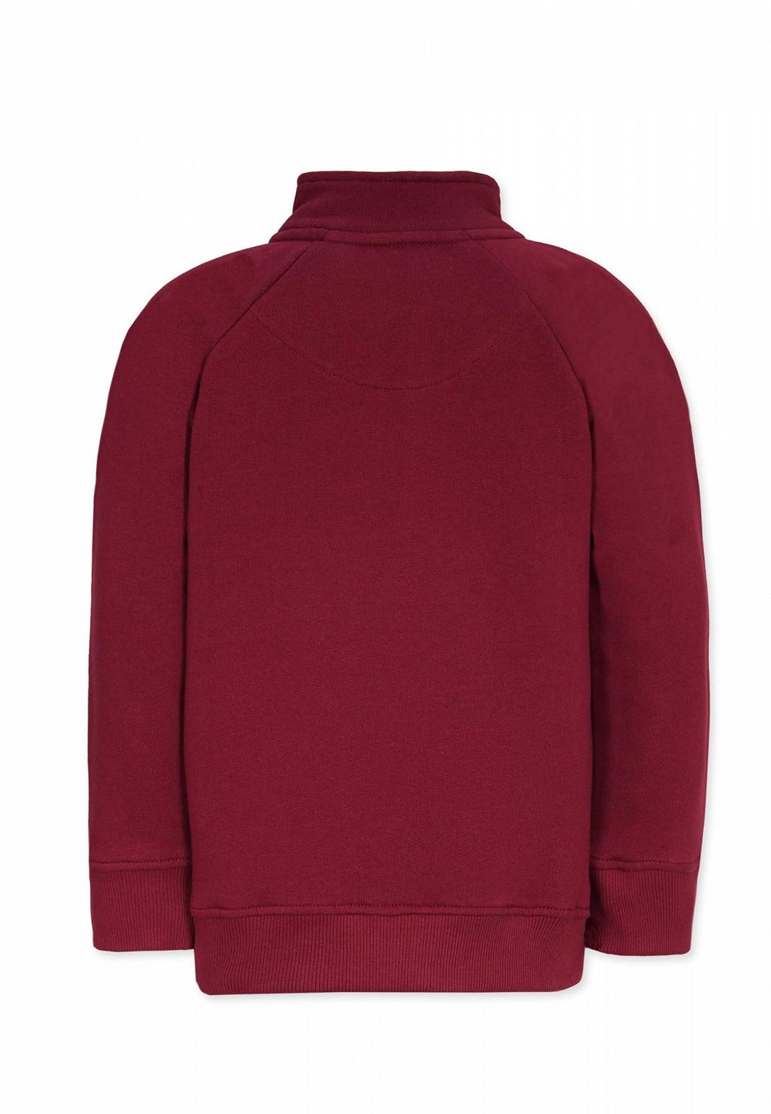 Дитячий світшот Troyer Band of Rascals з органічної бавовни, фото №3