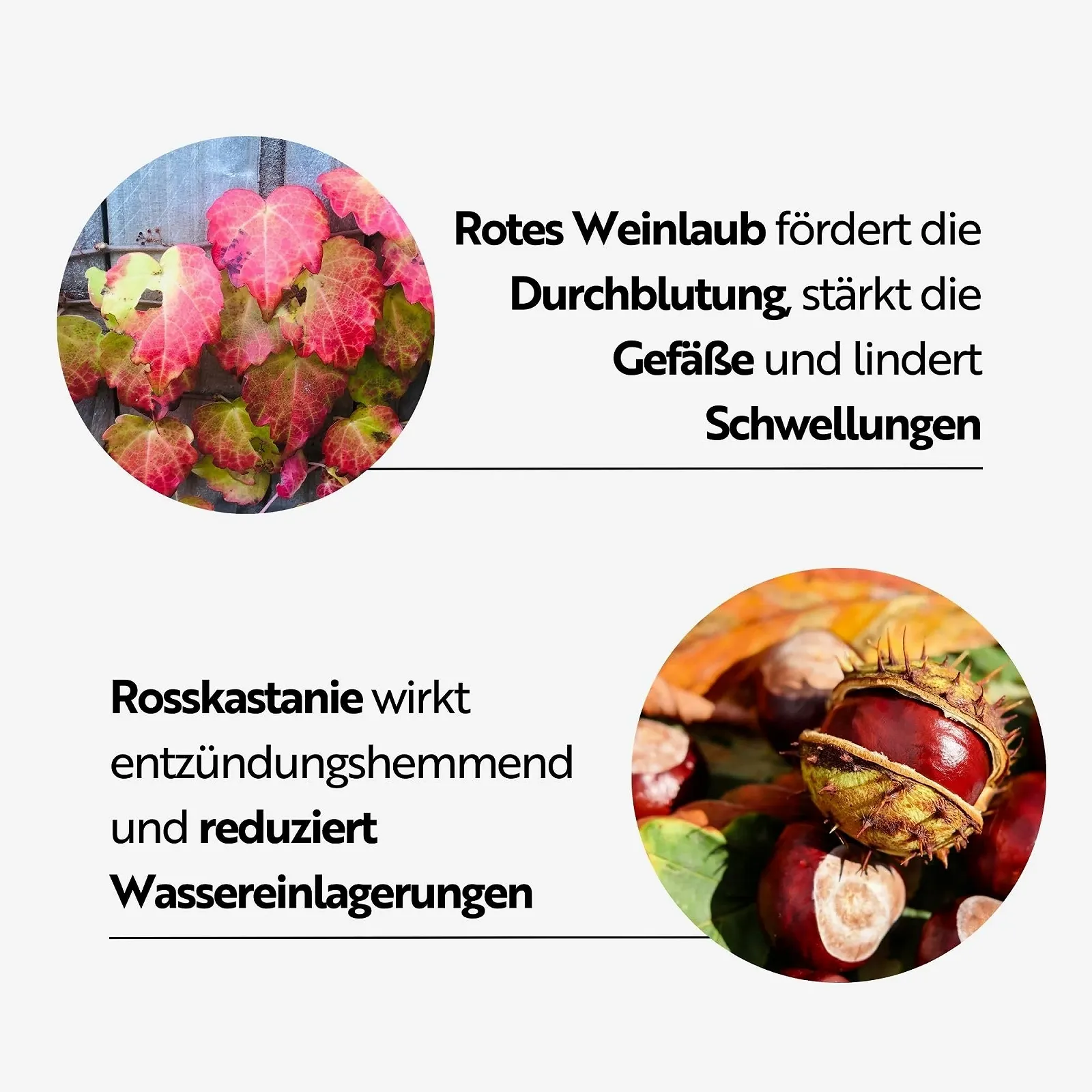 Крем для ног Kräuterhof Duo Set с экстрактом листьев красного винограда увлажняющий 2 x 250 мл, фото №4