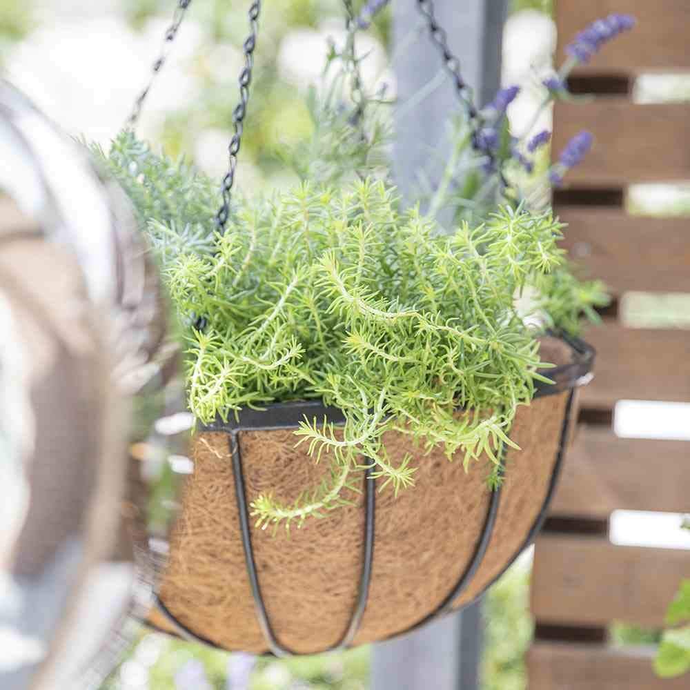 Підвісний кошик Siena Garden Кований з кокосовою вставкою Чорний 35 см, фото №3 Підвісний кошик Siena Garden Кований з кокосовою вставкою Чорний 35 см, фото №3