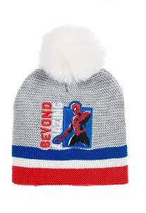 Шапка детская с помпоном Sun City Spider-Man, серая - Фото 1