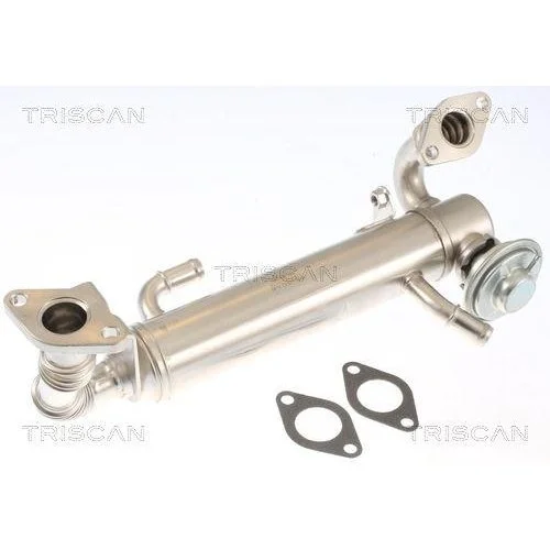 Клапан EGR TRISCAN 8813 15074 для IVECO, фото №2