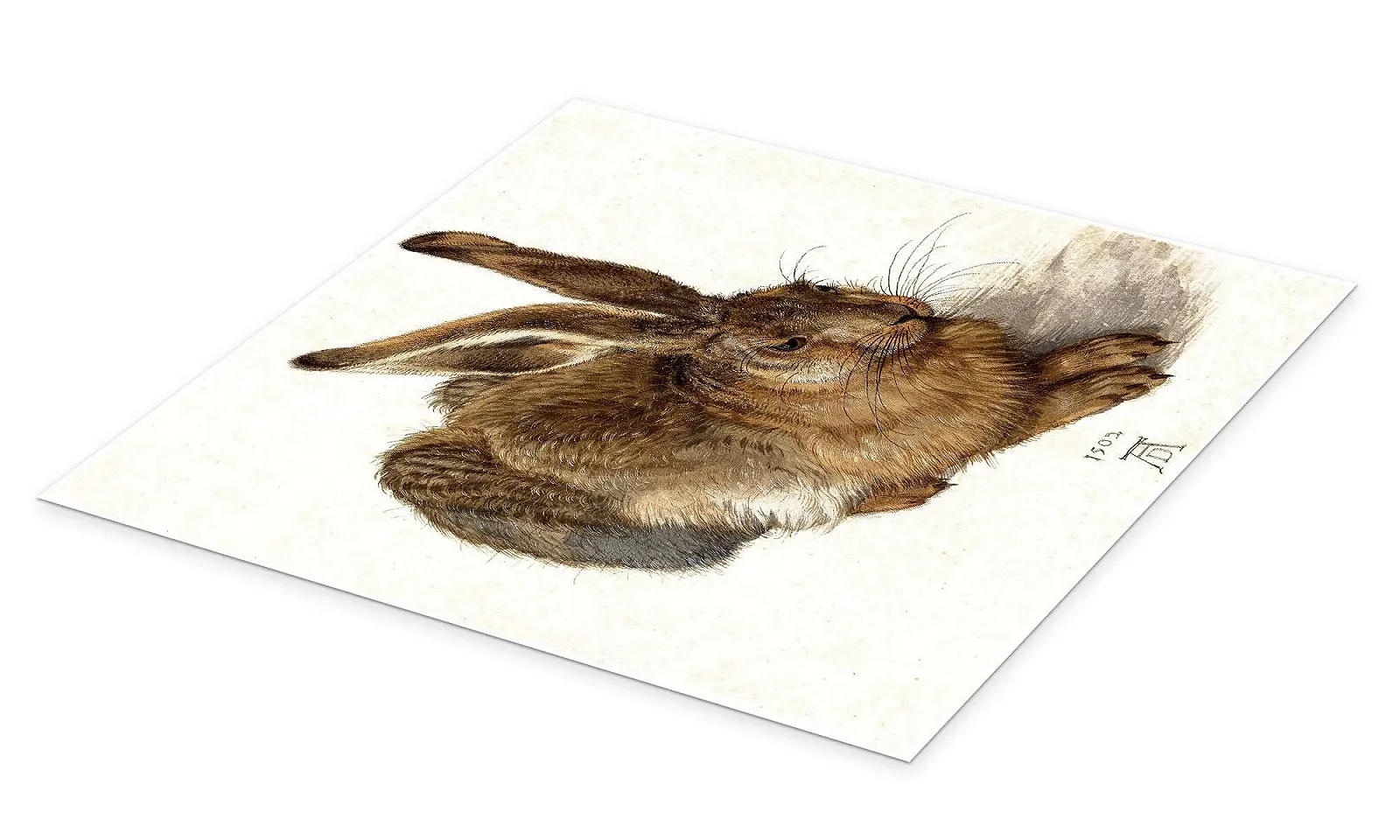 Постер Albrecht Dürer Кролик 50 x 50 см Коричневый, фото №2 Постер Albrecht Dürer Кролик 50 x 50 см Коричневый, фото №2