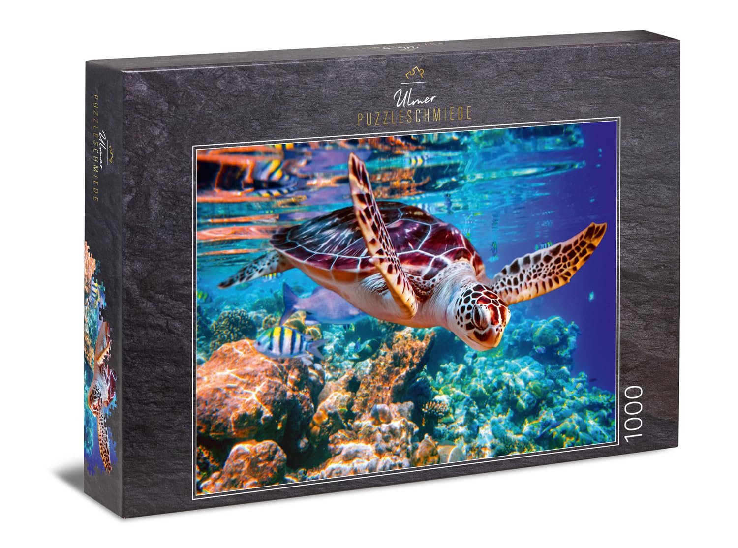 Пазл Ulmer Puzzleschmiede Classic Sea Turtle 1000 элементов Разноцветный, фото №1