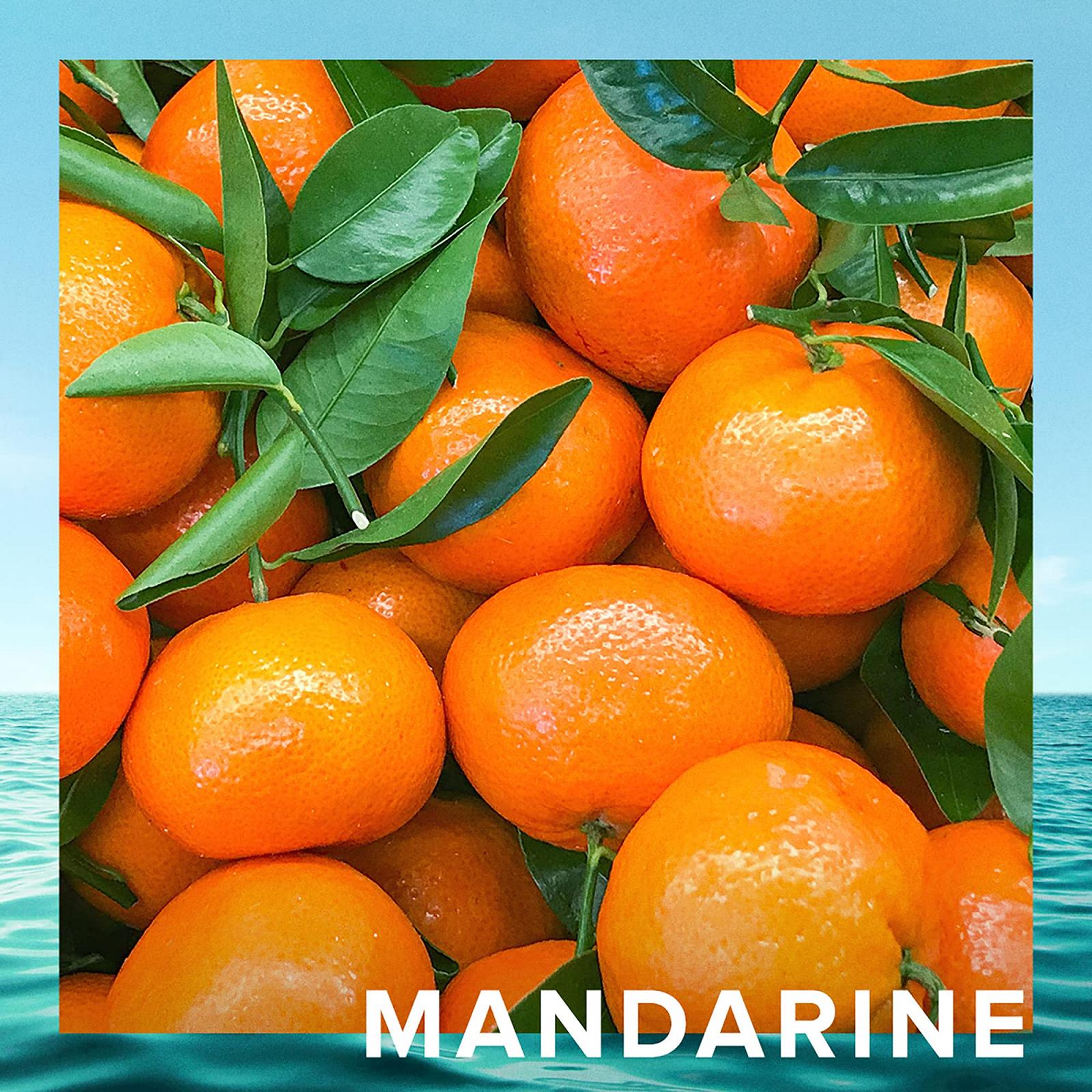 Туалетная вода Cristiano Ronaldo CR7 Origins 30 мл, фото №6 Туалетная вода Cristiano Ronaldo CR7 Origins 30 мл, фото №6