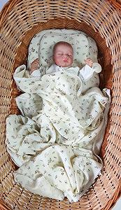 Муслиновый комплект в коляску, люльку: плед, простынь и подушка цветочки бежевый synthetic.ua - Фото 1