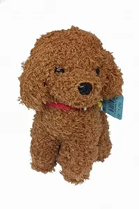 М'яка іграшка собака Мальтипу Maltipoo кучеряве щеня з нашийником світло-коричневий 23 см synthetic.ua - Фото 1