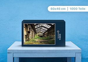 Пазл Hansepuzzle Lost Places 68486 1000 деталей 60 x 46 см - Фото 1