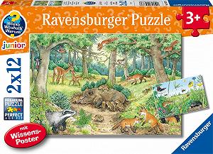 Купить Пазл Ravensburger Why? Why? Why? 05673 Животные в лесу и на лугу 2 x 12 элементов - Фото 1 Пазл Ravensburger Why? Why? Why? 05673 Животные в лесу и на лугу 2 x 12 элементов - Фото 1