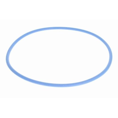 Паливний фільтр VAICO Green Mobility Parts V25-0081 для CITROËN FORD PEUGEOT, фото №2