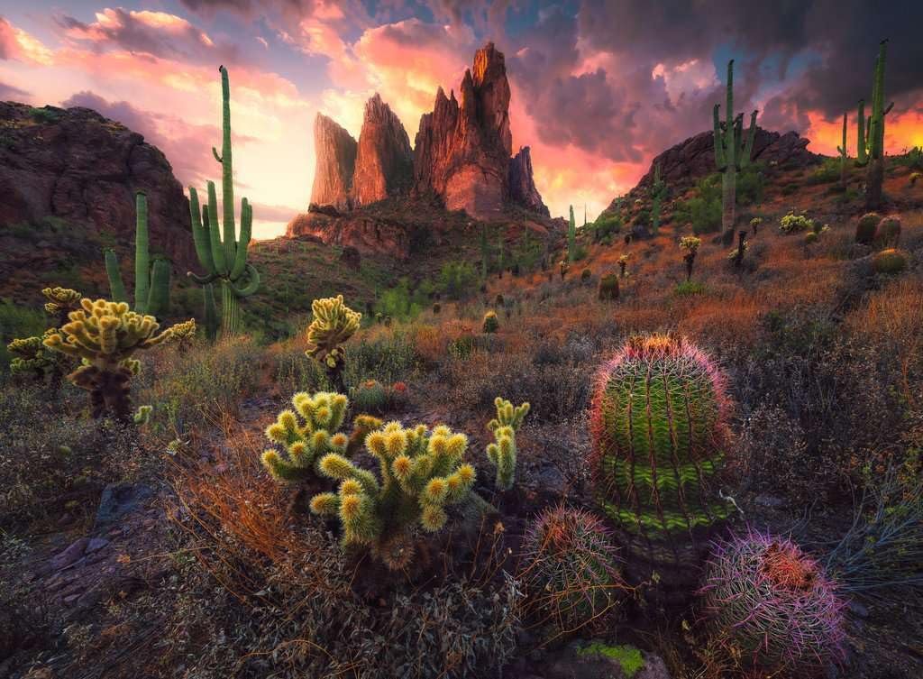 Пазл Ravensburger Spikes 12001380 500 деталей від 12 років, фото №2