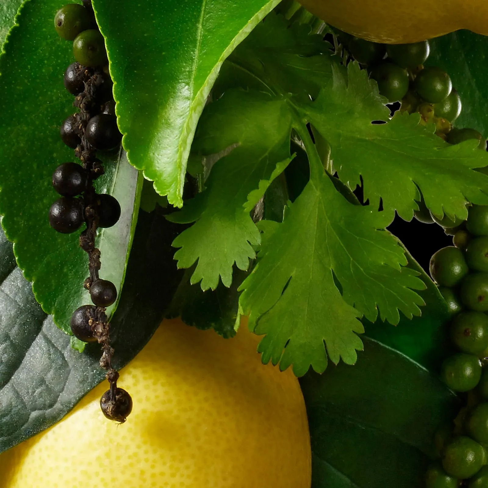 Лосьйон для рук Molton Brown Re-charge Black Pepper 300 мл, фото №5