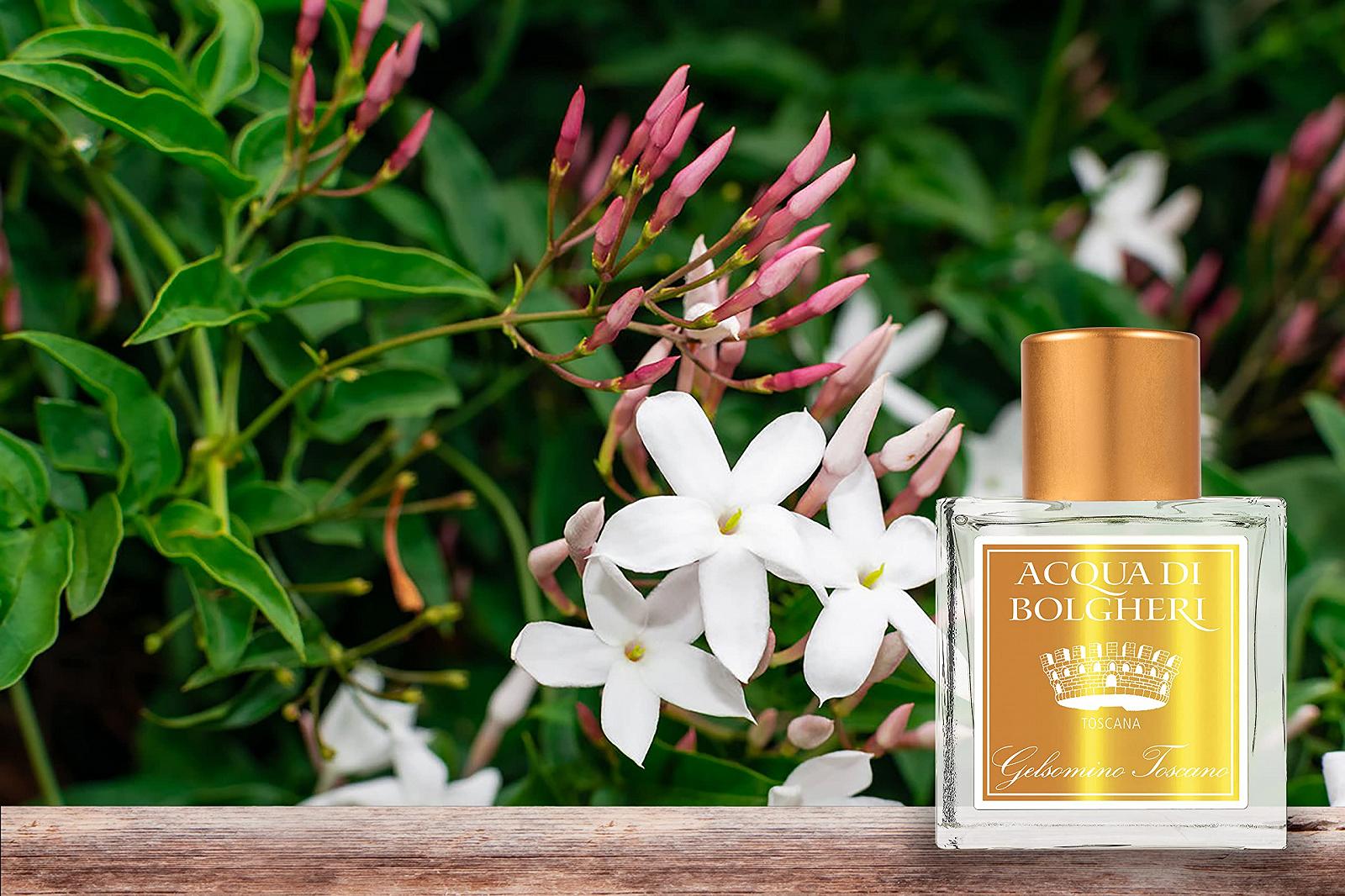 Dr. Taffi Aqua di Bolgheri Gelsomino Toscano Парфумована вода 50 мл, фото №2