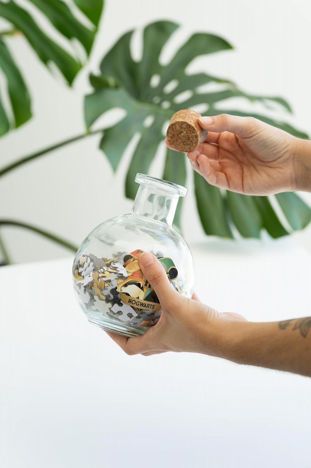 Пазл Grupo Erik Harry Potter Slytherine Hogwarts House 322 елементи у пляшці, фото №4