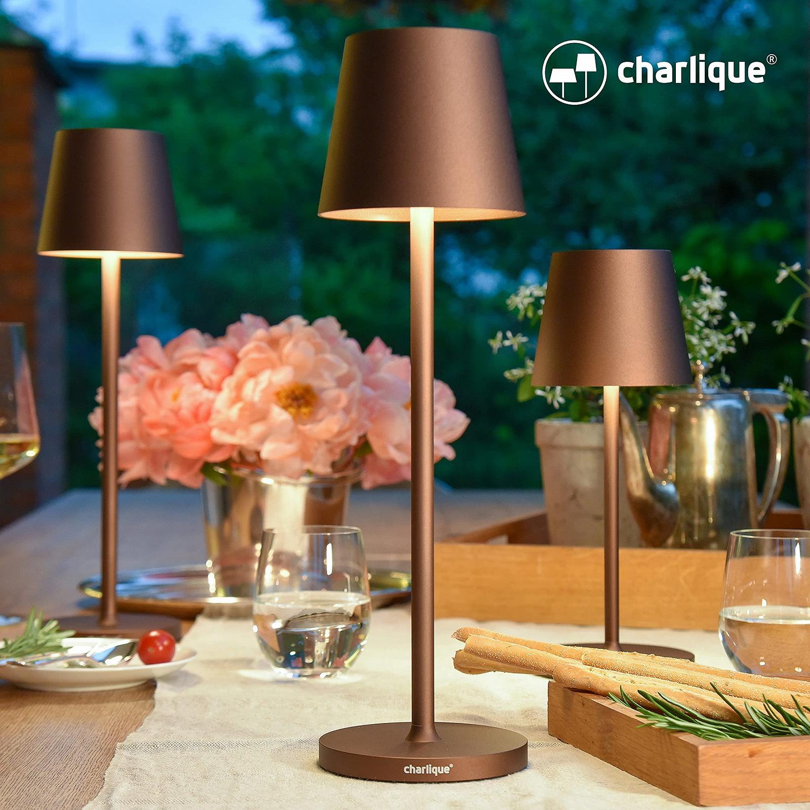 Світлодіодна настільна лампа з акумулятором та USB-зарядкою регульована яскравість, фото №8