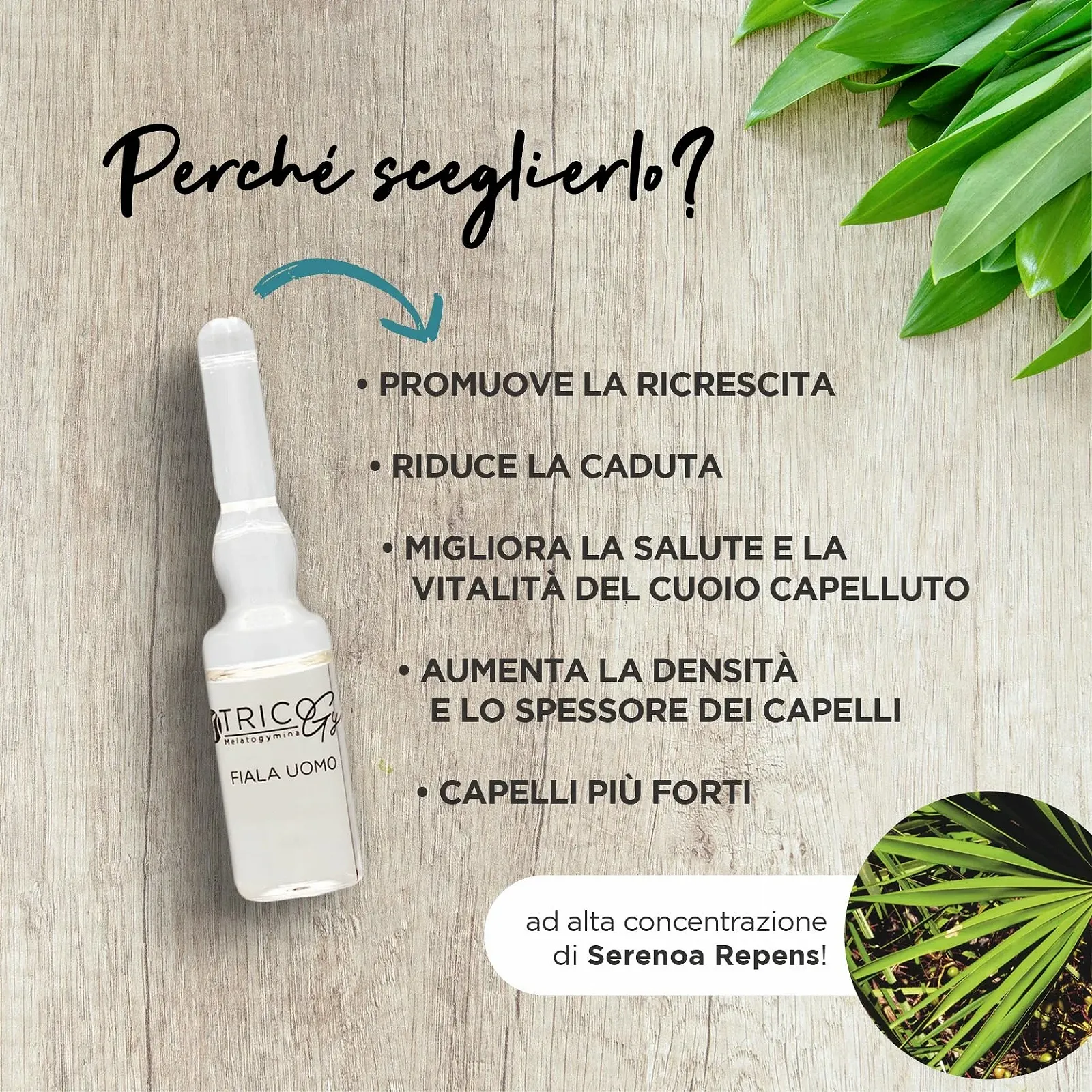 Ампули Tricogym для чоловіків проти випадіння волосся, 30 ампул по 5 мл (курс на 1 місяць) з Serenoa Repens, без парабенів SLS/SLES, фото №3