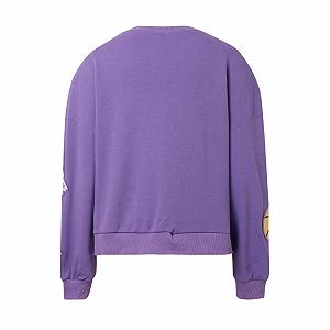 Женские баскетбольные пуловеры Western Модные вышитые топы 2025 Университет Длинный рукав Блестки Блестящий круглый вырез Мода Однотонный Y2K Свободный крой Модные свитшоты synthetic.ua - Фото 1