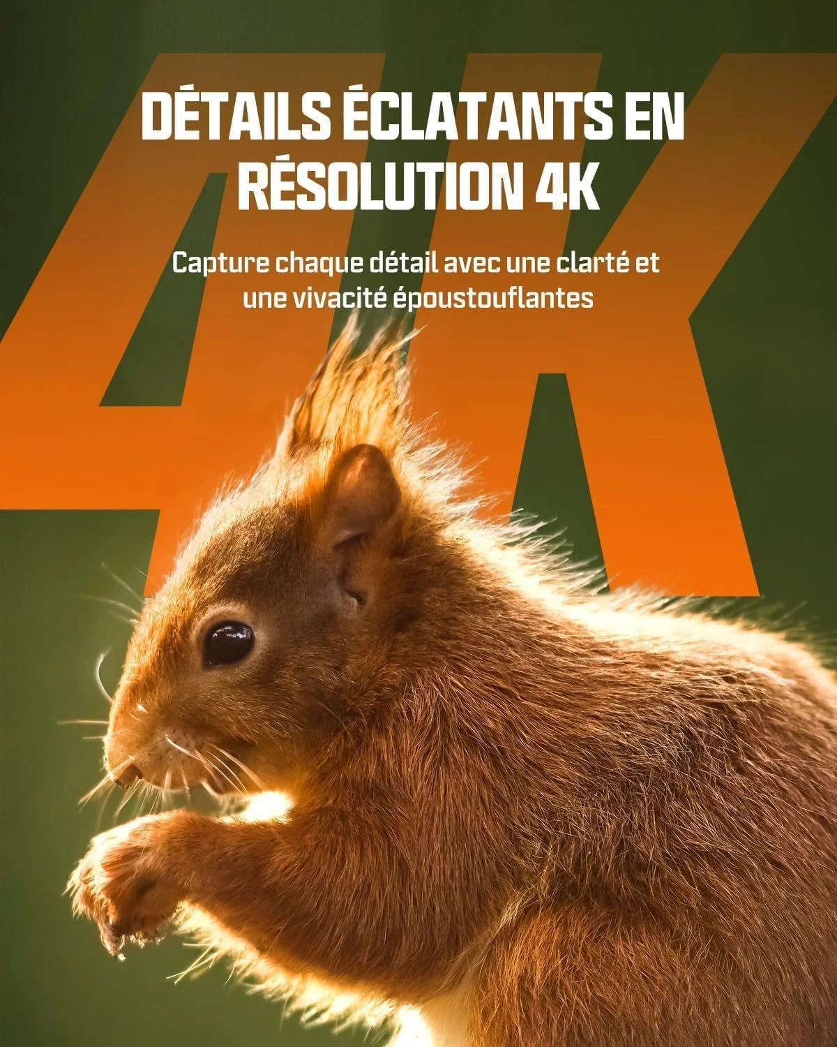 Фотопастка з сонячною панеллю Ceyomur CY75 / 60MP / 4K / Wi-Fi / Bluetooth / Зелена, фото №5 Фотопастка з сонячною панеллю Ceyomur CY75 / 60MP / 4K / Wi-Fi / Bluetooth / Зелена, фото №5