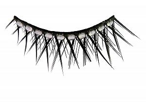 Купить Искусственные ресницы Eulenspiegel Schwarz короткие и длинные с жемчужинами - Фото 1 Искусственные ресницы Eulenspiegel Schwarz короткие и длинные с жемчужинами - Фото 1