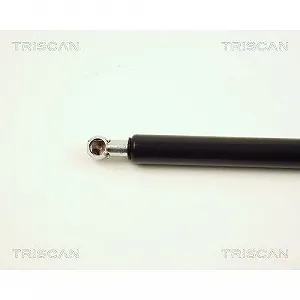 Газовая пружина багажника TRISCAN 8710 25223 для RENAULT synthetic.ua - Фото 1