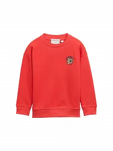 Толстовка Tom Tailor для мальчиков - Фото 1