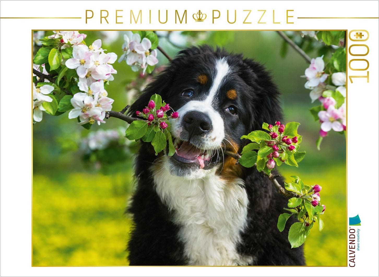 Пазл CALVENDO Faithful Friend Bernese Mountain Dog 1000 элементов 64 x 48 см, фото №1 Пазл CALVENDO Faithful Friend Bernese Mountain Dog 1000 элементов 64 x 48 см, фото №1