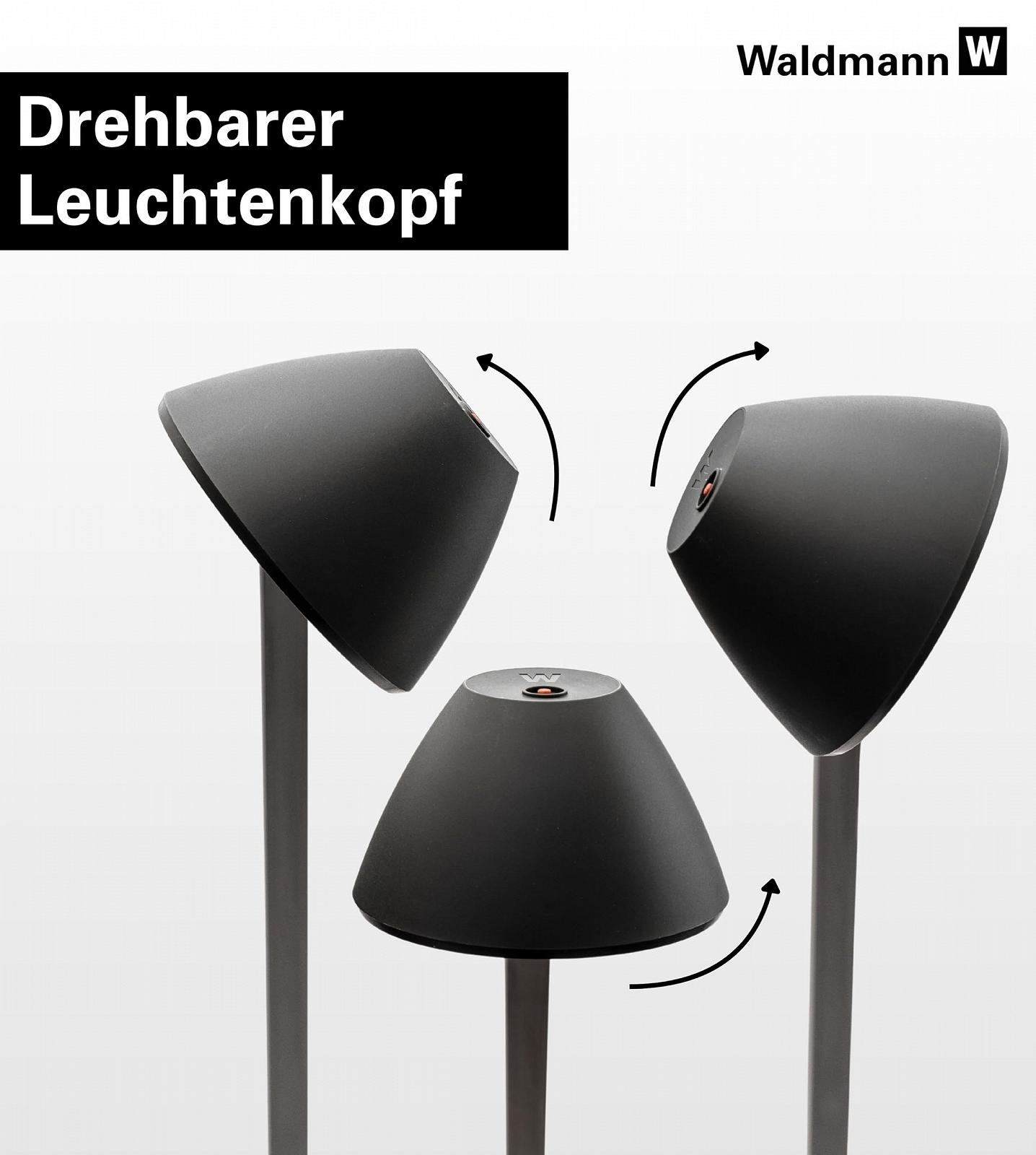 Настільна лампа Waldmann Lucio Home LED 4000 K (Limited Edition), фото №3