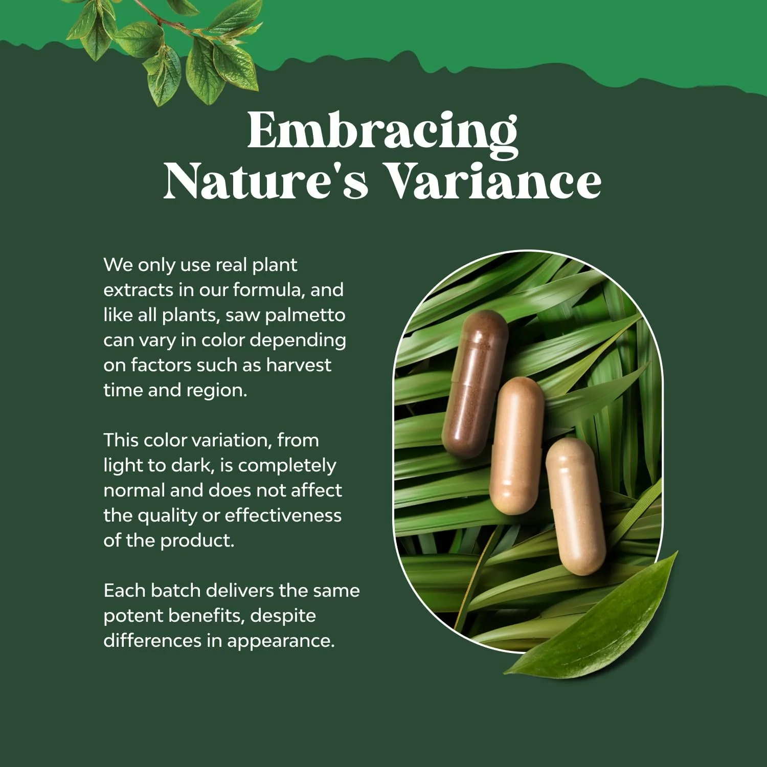 Капсули Екстракту Со Пальметто Pure - Добавка для покращення росту волосся, фото №3 Капсули Екстракту Со Пальметто Pure - Добавка для покращення росту волосся, фото №3