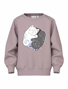 Реглан NAME IT Nmfvenus LS Nreg Sweat Bru - Фото 1